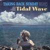 Taking Back Sunday - Tidal Wave -  Vinyl Record