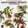 David Murray Quartet - Birdly Serenade -  Vinyl Record