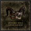 Jethro Tull - Curious Ruminant -  180 Gram Vinyl Record