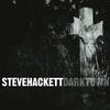 Steve Hackett - Darktown -  Vinyl Record