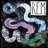 R.E.M. - Reckoning -  180 Gram Vinyl Record