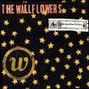 The Wallflowers - Bringing Down The Horse -  Vinyl Record