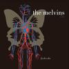 Melvins - Freak Puke -  Vinyl Record