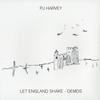 PJ Harvey - Let England Shake - Demos -  Vinyl Record