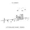 PJ Harvey - Let England Shake - Demos -  Vinyl Record