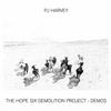PJ Harvey - The Hope Six Demolition Project - Demos -  180 Gram Vinyl Record