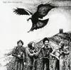 Traffic - When The Eagle Flies -  180 Gram Vinyl Record