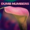 Dumb Numbers - Dumb Numbers -  Vinyl Record