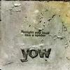 David Yow - Tonight You Look Like A Spider -  Vinyl Record