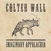 Colter Wall - Imaginary Appalachia -  140 / 150 Gram Vinyl Record