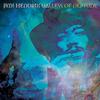 Jimi Hendrix - Valleys Of Neptune -  Vinyl Record