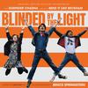 Various Artists - Blinded By The Light -  Vinyl Record