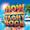 Various Artists - Now That's What I Call Yacht Rock -  Vinyl Record