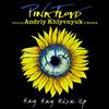 Pink Floyd Featuring Andriy Khlyvnyuk - Hey Hey Rise Up -  Vinyl Record