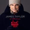 James Taylor - James Taylor At Christmas -  140 / 150 Gram Vinyl Record