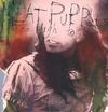 Meat Puppets - Too High To Die -  Vinyl Record