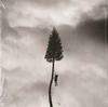 Manchester Orchestra - A Black Mile To The Surface -  Vinyl Record