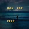 Iggy Pop - Free -  Vinyl Record