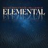 Dee Dee Bridgewater & Bill Charlap - Elemental -  180 Gram Vinyl Record
