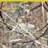 The Bad Plus - Complex Emotions -  140 / 150 Gram Vinyl Record