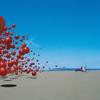 The Cranberries - Wake Up and Smell The Coffee -  180 Gram Vinyl Record