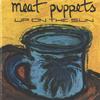Meat Puppets - Up On The Sun -  Vinyl Record