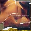 Juliana Hatfield - Made In China -  Vinyl Record