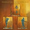 Steve Morse Band - Triangulation -  Vinyl Record