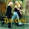 The Chicks - Wide Open Spaces -  140 / 150 Gram Vinyl Record