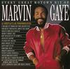 Marvin Gaye - Every Great Motown Hit Of Marvin Gaye: 15 Spectacular Performances -  Vinyl Record