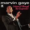Marvin Gaye - I Heard It Through The Grapevine -  Vinyl Record