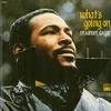 Marvin Gaye - What's Going On -  Vinyl Record
