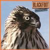 Blackfoot - Marauder -  180 Gram Vinyl Record