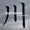 David Sanborn - Time And The River -  180 Gram Vinyl Record