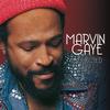 Marvin Gaye - Collected -  180 Gram Vinyl Record