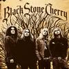 Black Stone Cherry - Black Stone Cherry -  180 Gram Vinyl Record