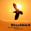 Jaco Pastorius & Rashied Ali - Blackbird -  180 Gram Vinyl Record