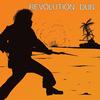 Lee Perry & The Upsetters - Revolution Dub -  180 Gram Vinyl Record