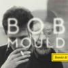 Bob Mould - Beauty & Ruin -  Vinyl Record