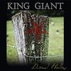 King Giant - Dismal Hollow -  180 Gram Vinyl Record