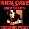 Nick Cave and the Bad Seeds - Tender Prey -  Vinyl Record
