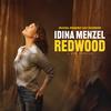 Idina Menzel & The Original Broadway Cast of Redwood - Redwood -  Vinyl Record