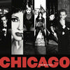 New Broadway Cast - Chicago The Musical -  Vinyl Record