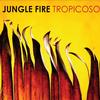 Jungle Fire - Tropicoso -  Vinyl Record