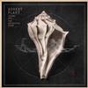 Robert Plant - Lullaby and...The Ceaseless Roar -  Vinyl Record & CD