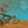 Molly Tuttle & Golden Highway - Crooked Tree -  Vinyl Record