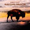 Robert Plant - Saving Grace -  Vinyl Record