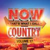 Various Artists - NOW Country 17