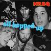 NRBQ - All Hopped Up -  Vinyl Record