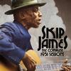 Skip James - The Complete 1931 Sessions -  Vinyl Record